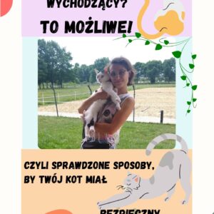 Bezpieczny kot wychodzący