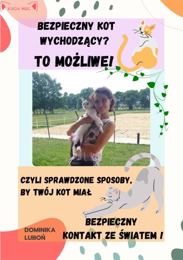 Bezpieczny kot wychodzący