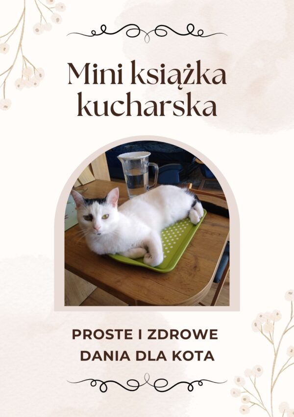 Mini książka kucharska dla kota – proste i zdrowe dania dla kota