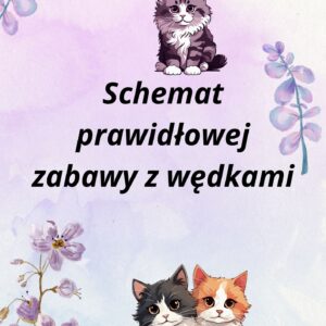 Schemat prawidłowej zabawy z wędkami
