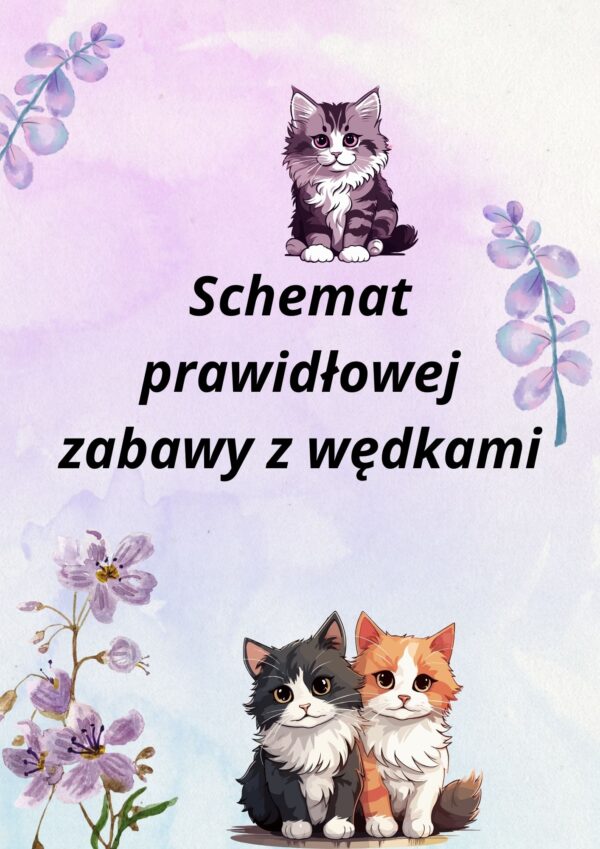 Schemat prawidłowej zabawy z wędkami